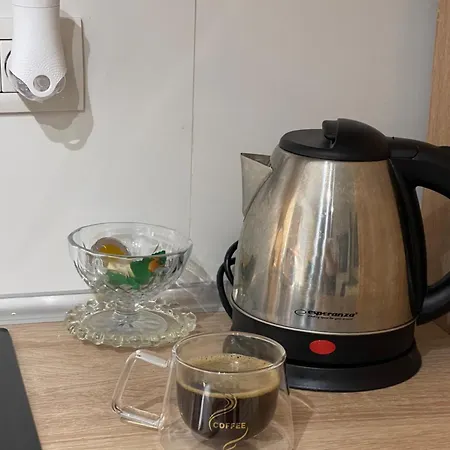 Executive Loft Appartement *